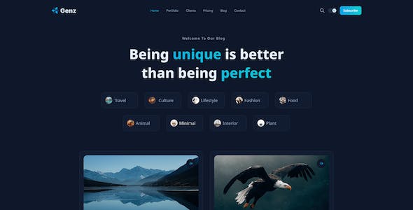 網(wǎng)站開發(fā)中的版本控制工具的選擇